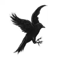 Crow & Alfred - design
