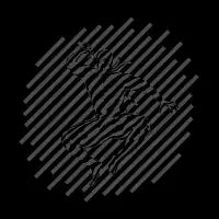 Illusioninja - design