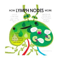 How Lymph Nodes Work - design