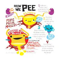 How We Pee - design