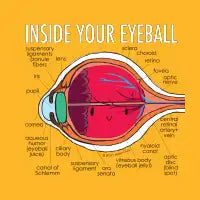 Inside Your Eyeball - design