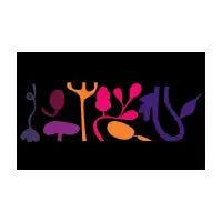 Skin Senses of Touch - design
