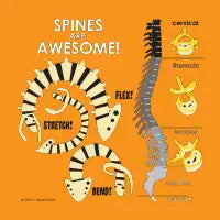 Spines are Awesome! - design