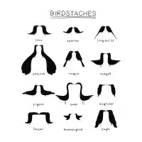 Birdstache - design