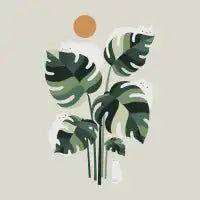 Cat and Plant 11 - design