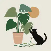 Cat and Plant 13: The Making of Monstera - design