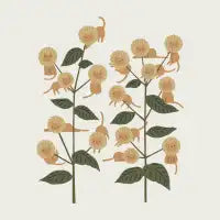 Cat and Plant 8: Blossomeow - design
