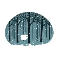 Hibearnation - design