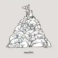 Meowtain - design