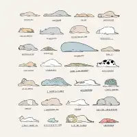 Moody Animals - design