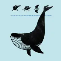 Oh Whale, I'm like a bird - design