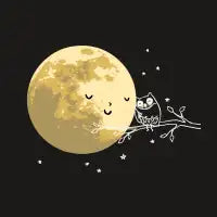 Owl and Moon - design