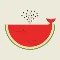 Whalemelon - design