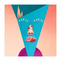 Vaporwave Face - design