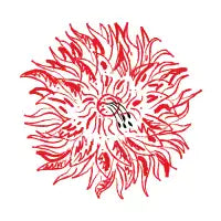 Plant Lyfe - design