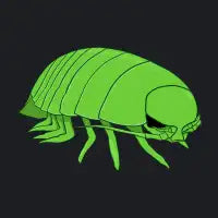 Alien Green Giant Isopod - design