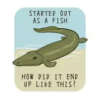 Tiktaalik: Started Out As A Fish - design