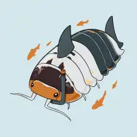 White Shark Isopod - design