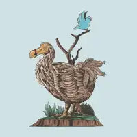 bird - design