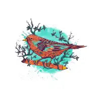 bird - design