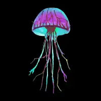 Jellyfish - design