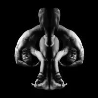 Rorschach Stretch - design