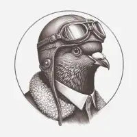 Aviator - design