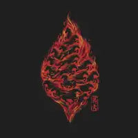 Burning to be reborn - design