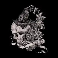 Crow - design