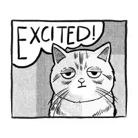 Excited! - design