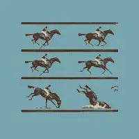 Gravity Wins - design