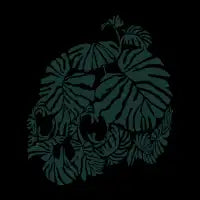 Monstera - design