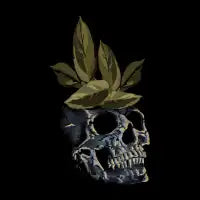Skull Life T-Shirt - design