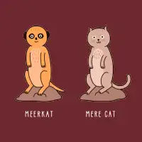 Meerkat - design