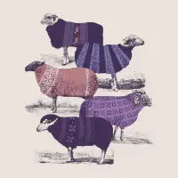 Cool Sweaters - design