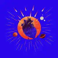 Crush - design
