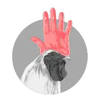 Faux Hawk - design