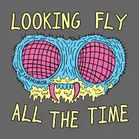 Looking Fly - design