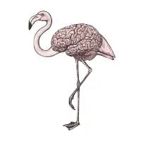 Bird Brain - design