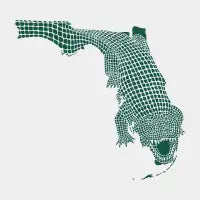 Florida Gator - design