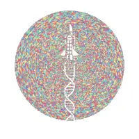Space DNA - design