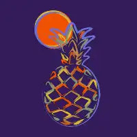 Pineapple in Summer - design
