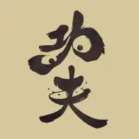 Po the Kung Fu Panda - design