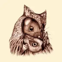 Reveal - design