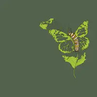 Someday - design