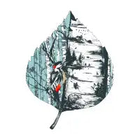 The Birch Tree Story - design