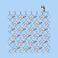 The Conductor - design
