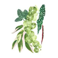 Green Thumb - design