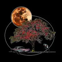 Full Moon on Lover's Lane - Color Version - design
