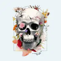 Death Blossom - design